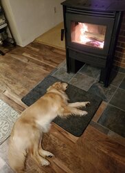 Maggie by the Fire 2019.jpg