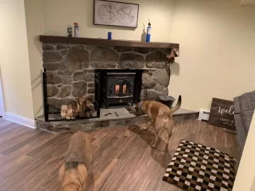 Economy Rear Venting Wood Stove | Hearth.com Forums Home