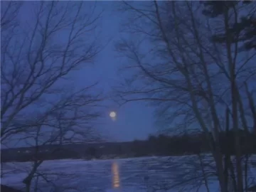 [Hearth.com] Happy Full Wolf Moon!