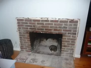 [Hearth.com] We love our Pacific Energy Super Insert!