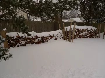 [Hearth.com] Why didn't someone tell me I should cover up the wood?