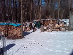 My firewood world