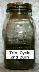 tree cycle followup