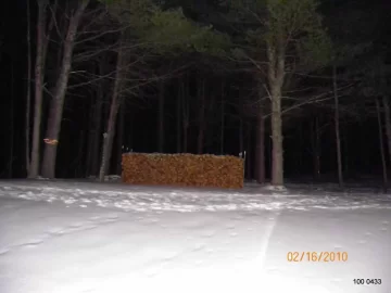 [Hearth.com] Bringing in some Wood.