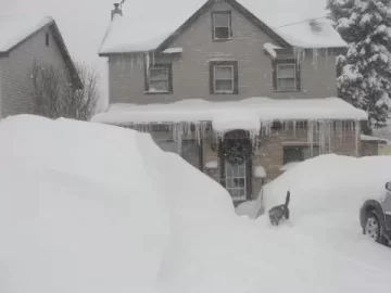 [Hearth.com] getting on the roof to shovel snow got easier...
