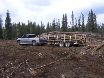 [Hearth.com] Would you drive 30 mins for this free wood?