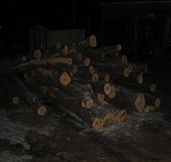 2012-13 wood arrived tonight
