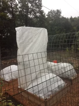 [Hearth.com] 2019 Garden Thread