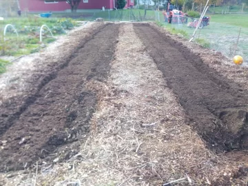 [Hearth.com] 2019 Garden Thread