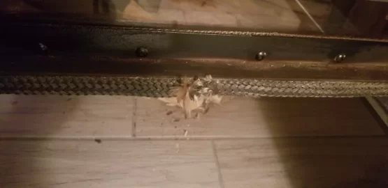 [Hearth.com] Door gasket