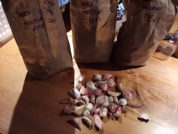 [Hearth.com] 2019 Garden Thread