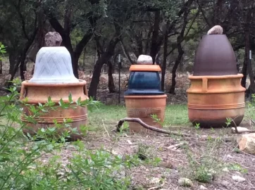 [Hearth.com] 2019 Garden Thread