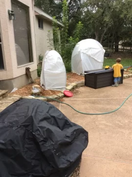 [Hearth.com] 2019 Garden Thread