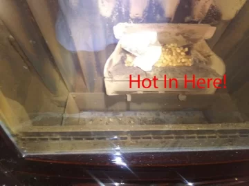 [Hearth.com] Hate it when the Bugs Come Inside to Get Warm....