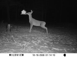 Who is getting ready for deer season?