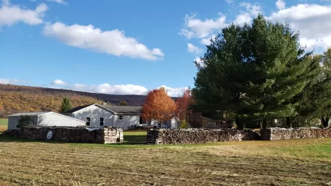 [Hearth.com] Wood Wall Completed