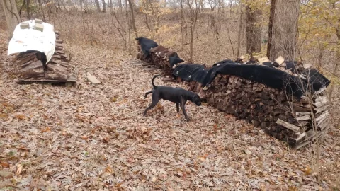 20191201_100349.jpg 20191201_100349.jpg