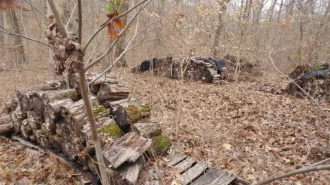 20191201_100716.jpg 20191201_100716.jpg