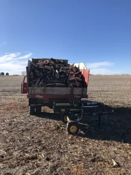 [Hearth.com] Today's Entertainment