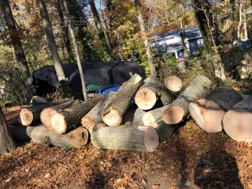 log pile.jpg