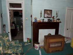 Living Room & Old Gas Heater.jpg