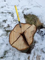 axe in stump.jpg