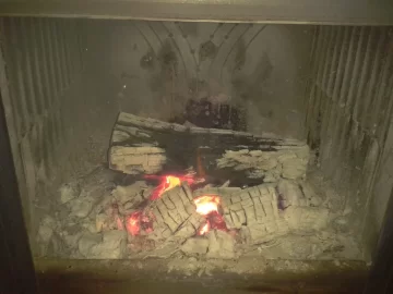 [Hearth.com] Your Fire Intensity Versus Measured Heat (post your photo)