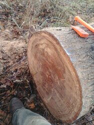 Wood cutting question