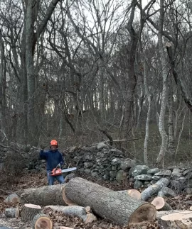 [Hearth.com] Free Red Oak!