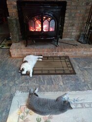 A woodstove  kind of day!