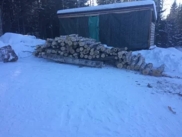 Start of the 2020 wood haul