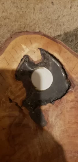 [Hearth.com] There's something you don't see every day