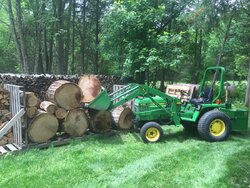 Start of the 2020 wood haul