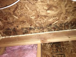 Chase insulation questions