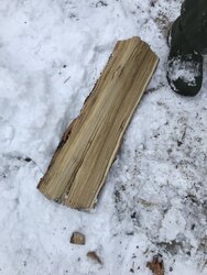 Wood Identification