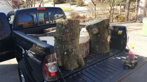 Green pine sucks to split