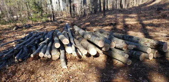 [Hearth.com] Cutting some nice oak in the back yard