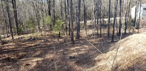 [Hearth.com] Cutting some nice oak in the back yard