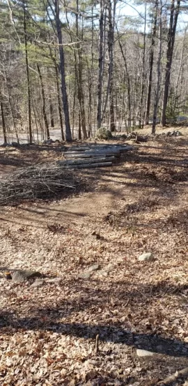 [Hearth.com] Cutting some nice oak in the back yard