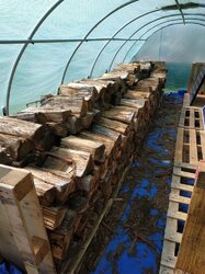 Yet Another Drying Firewood in a Greenhouse...