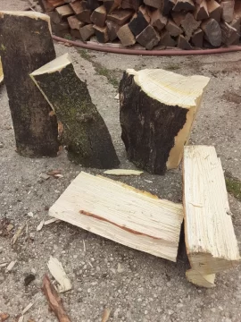 [Hearth.com] ID help:Split at least two cords of free wood during quarantine...