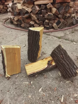 [Hearth.com] ID help:Split at least two cords of free wood during quarantine...