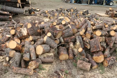 [Hearth.com] How much wood do you burn in a normal winter?