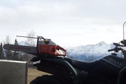 [Hearth.com] Snow gone, few more sick trees to clean out