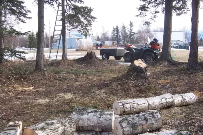 [Hearth.com] Snow gone, few more sick trees to clean out