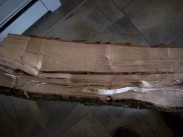 [Hearth.com] Wood ID please