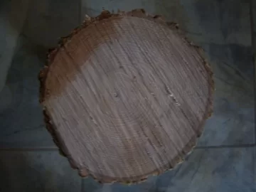 [Hearth.com] Wood ID please