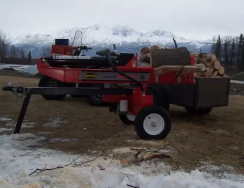 [Hearth.com] Snow gone, few more sick trees to clean out