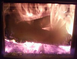 Burning Dogwood tonight