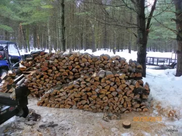 [Hearth.com] Splitting done today